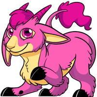 Makoat - Pink