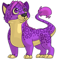 Ridix Purple