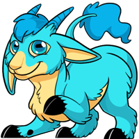 Makoat - Blue