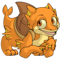 Sharshel Orange