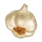 Garlic Clove