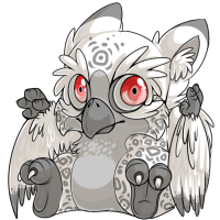 Ori Snowdrift