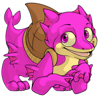 Sharshel Pink
