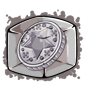 Silver Token Ice Cube