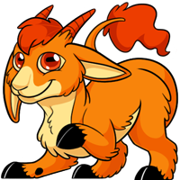 Makoat - Orange