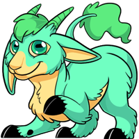 Makoat - Turquoise