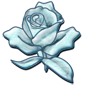 Snow Flower