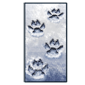 Snow Prints