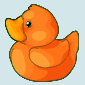 Orange Ducky