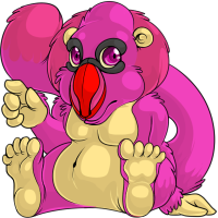 Audril Pink