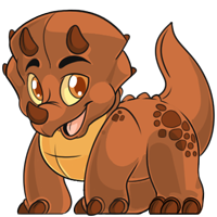 Trido - Brown