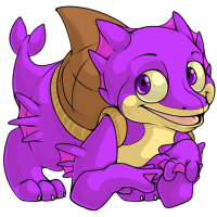 Sharshel Purple