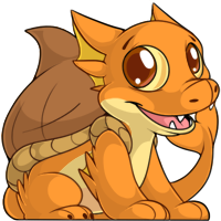 Sharshel - Orange
