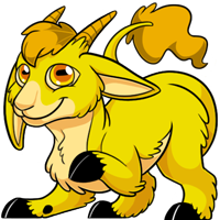 Makoat - Yellow