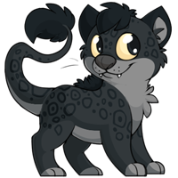 Ridix - Black