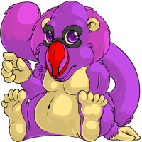 Audril Purple