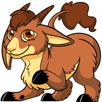 Makoat - Brown
