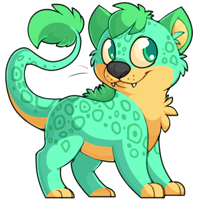 Ridix - Turquoise