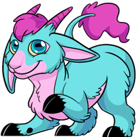 Makoat - Cottoncandy