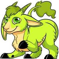 Makoat - Green