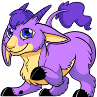 Makoat - Purple
