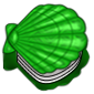 Book of Seashells