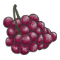 Organic Grapes