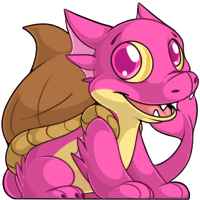 Sharshel - Pink